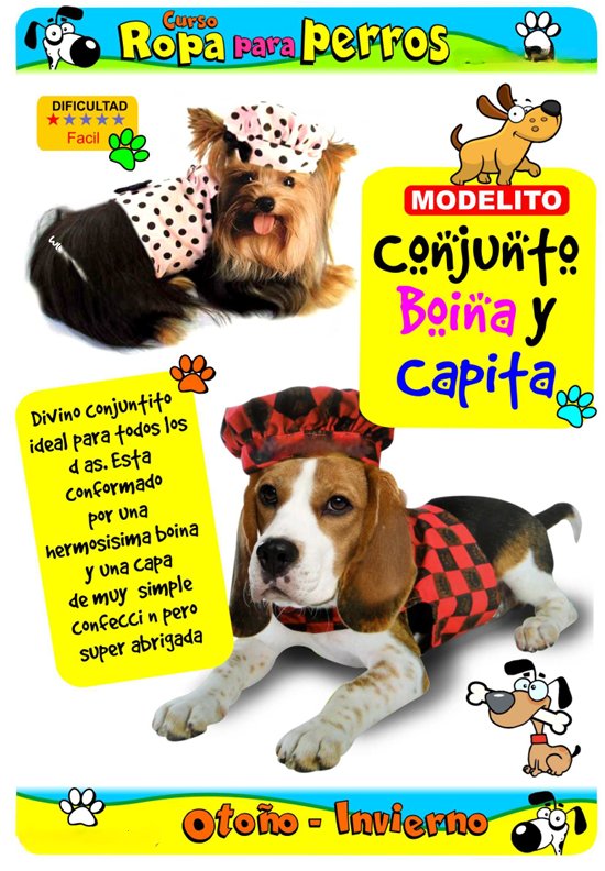 Ejemplo de prenda artesanal para mascota 3